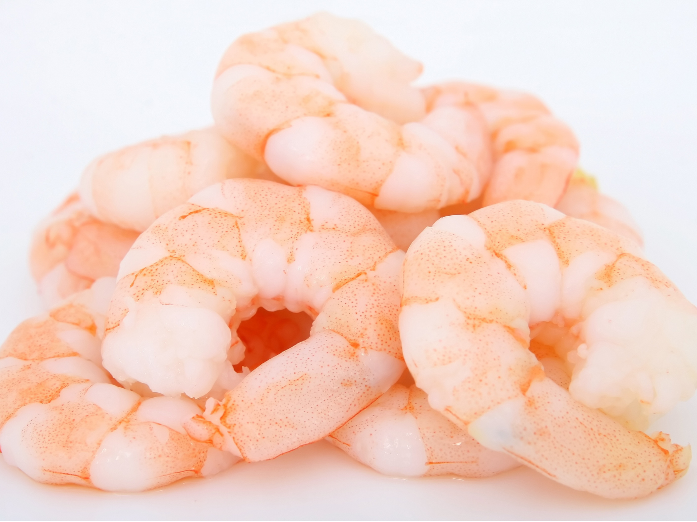 pumpkin risotto with shrimp
