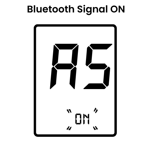 Meter display showing the Bluetooth signal On
